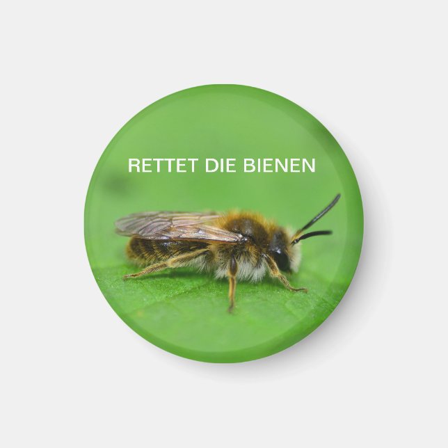 Imã Retet die Bienen (Frente)