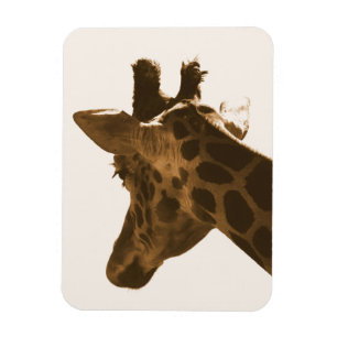 Ímã Reticular perfil Girafa