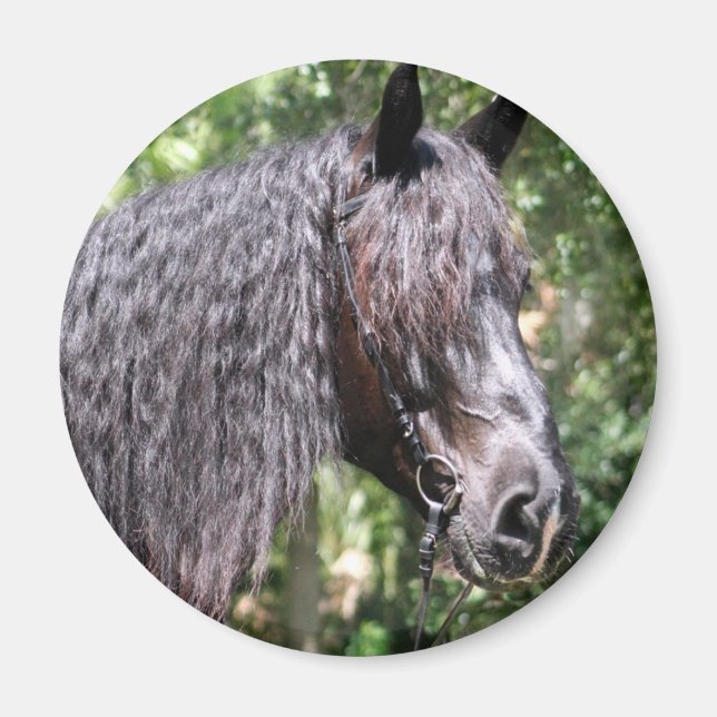 Imã Retrato (Frente)