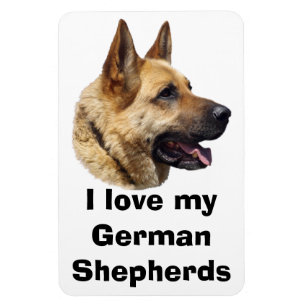 Ímã Retrato Alsatian do cão de german shepherd