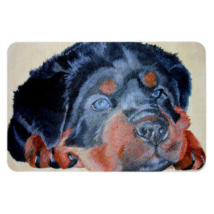 Ímã Retrato Artístico Rottweiler