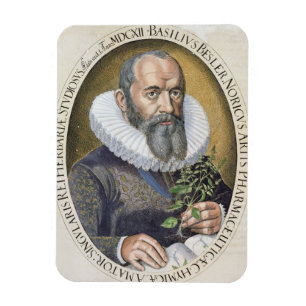 Ímã Retrato da manjericão Besler (1561-1629) em 1612,