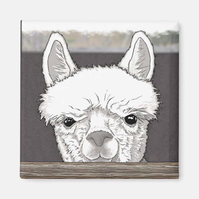 Imã Retrato de Alpaca (Frente)