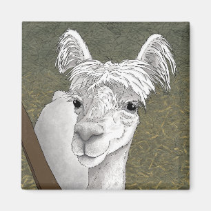 Imã Retrato de Alpaca 2