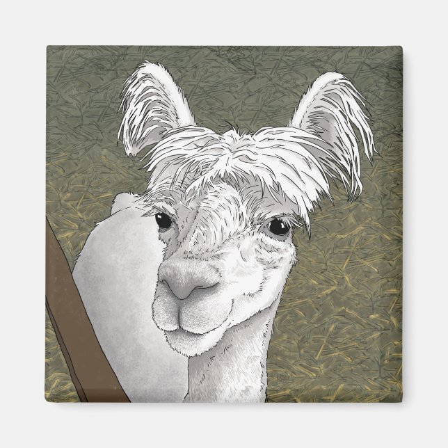 Imã Retrato de Alpaca 2 (Frente)