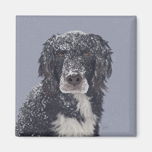 Imã retrato de animal de estimação mestiço de spaniel