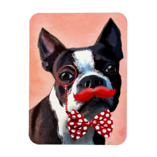 Ímã Retrato de Boston Terrier com Arco Vermelho e 3