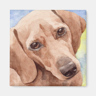 Imã Retrato de Cão-Dachshund, de Casaco Curto