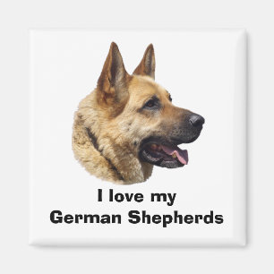 Imã Retrato de cão German shepherd alsaciano