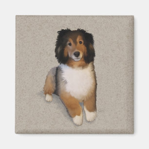Imã retrato de cão mestiço de Sheltie