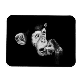Ímã Retrato de um pensador, Chimpanzé