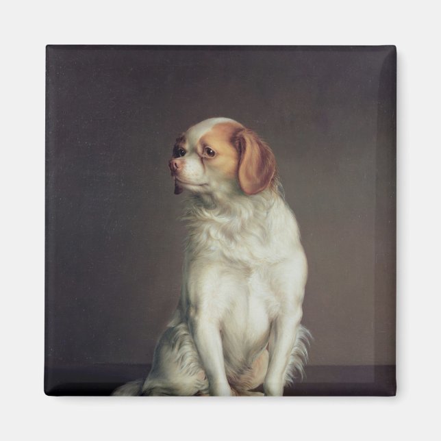 Imã Retrato de um rei Charles Spaniel (Frente)