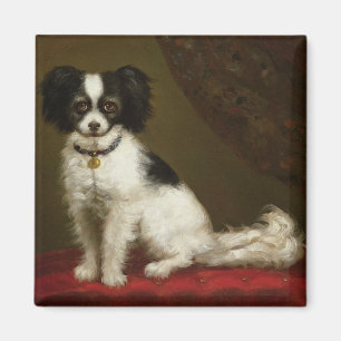 Imã Retrato de um Spaniel