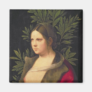 Imã Retrato de uma jovem mulher, 1506