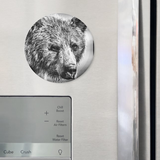 Imã Retrato de urso pardo (In Situ (Fridge))