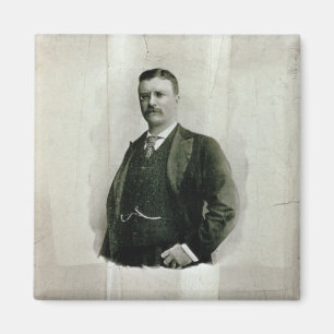 Imã Retrato do coronel Theodore Roosevelt (litho)