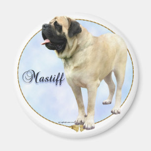 Imã Retrato do Mastiff da jovem corça