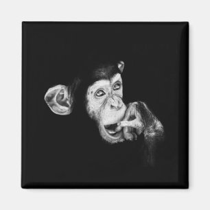 Imã Retrato do pensador Chimpanzé