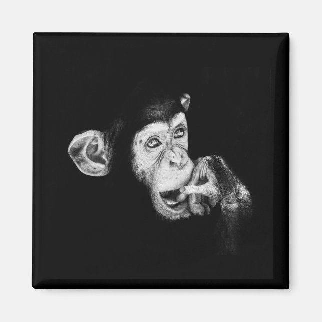 Imã Retrato do pensador Chimpanzé (Frente)