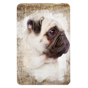 Ímã Retrato do vintage do Pug