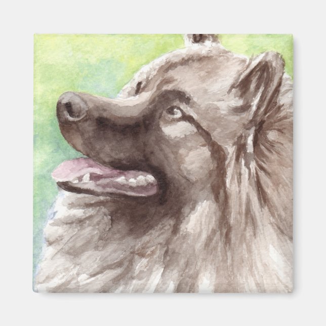 Imã Retrato em Aquarela de Keeshond (Frente)