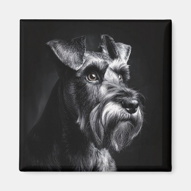 Imã Retrato Monocromático de Schnauzer (Frente)