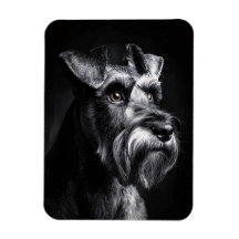 Retrato Monocromático Flexível de Schnauzer