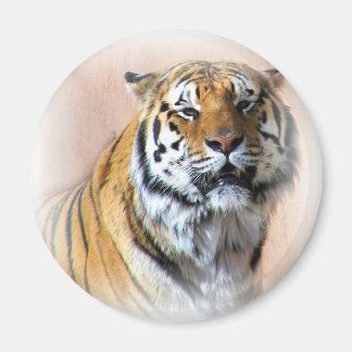 Imã Retrato Tiger