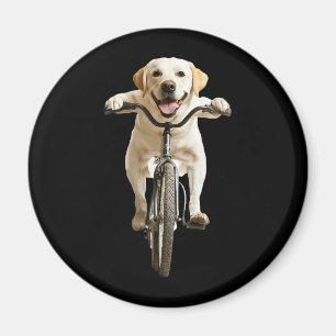 Imã Retriever de Labrador