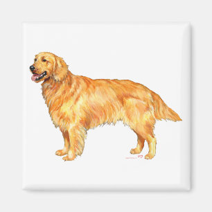 Imã Retriever Dourado