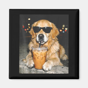 Imã Retriever dourado bebendo café gelado cachorro eng