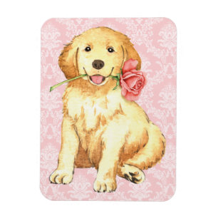 Ímã Retriever Ouro Rosa namorados