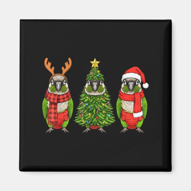 Imã Retro Christmas Green Cheek Conure Parrot Santa Re (Frente)
