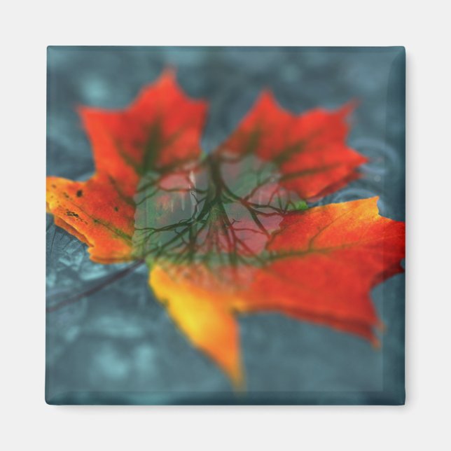 Imã Retroreflection Magnet (Frente)