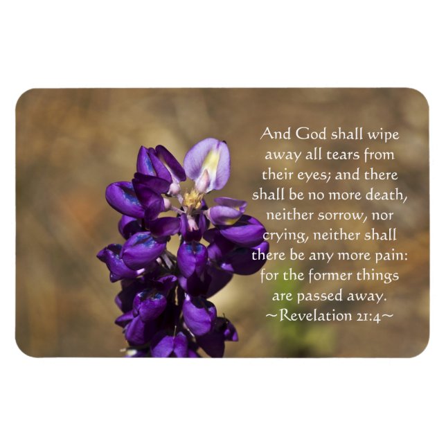 Ímã Revelação 21:4 (Horizontal)