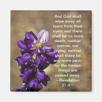 Imã Revelação 21:4