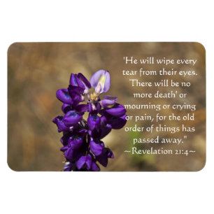 Ímã Revelação 21:4