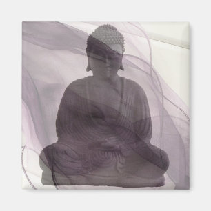 Imã Revelando o Self 1