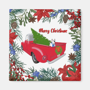 Imã Rex no Magnet Vermelhos Vintage