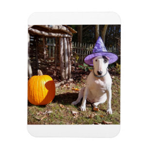 Ímã Rex O Magnete De Halloween Da TV Terrier