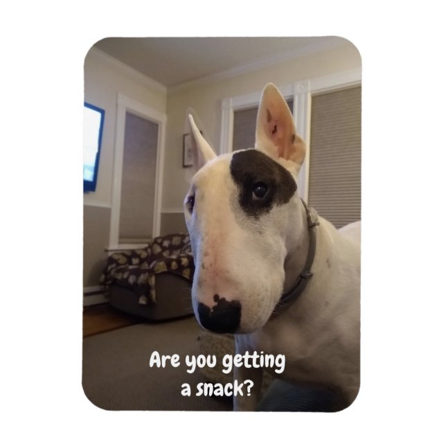 Ímã Rex O Magnete Do Refrigerador Terrier Da TV (Vertical)