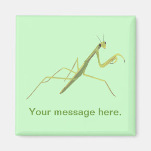 Imã Rezando Mantis pintando Suas Palavras Amores