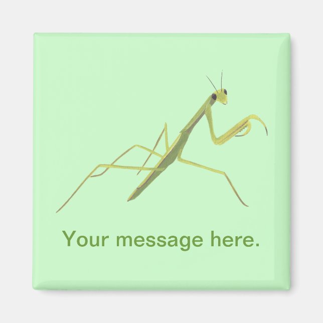 Imã Rezando Mantis pintando Suas Palavras Amores (Frente)