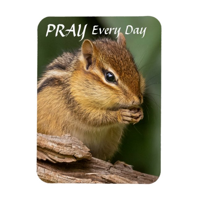 Ímã Reze todos os dias (Vertical)