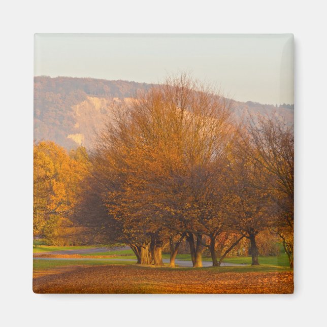 Imã Rheinaue Park (Frente)