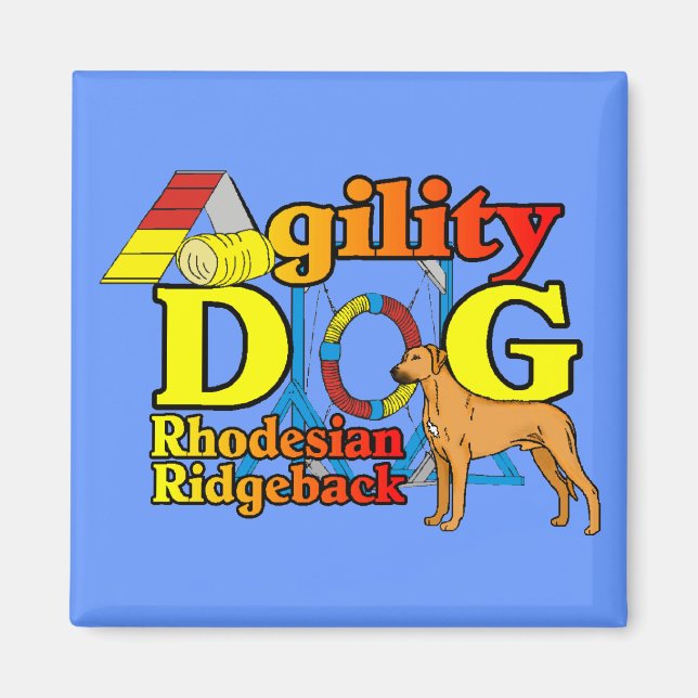 Imã Rhodesian_Ridgeback_Agilidade (Frente)