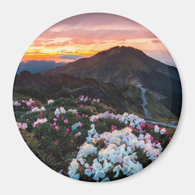 Imã Rhododendron Blooming | Parque Nacional Taroko (Frente)