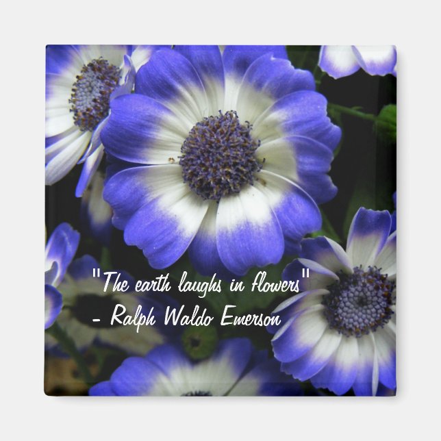 Imã Ria Com O Magnet Das Flores (Frente)