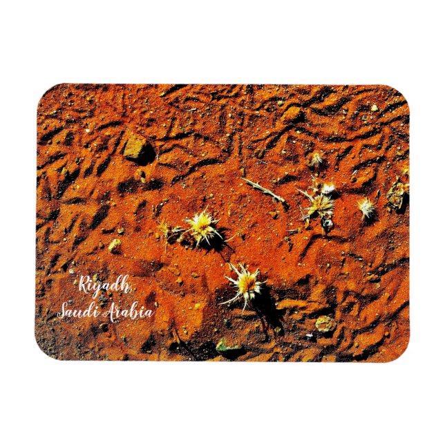 Ímã Riade, Arábia Saudita (Horizontal)