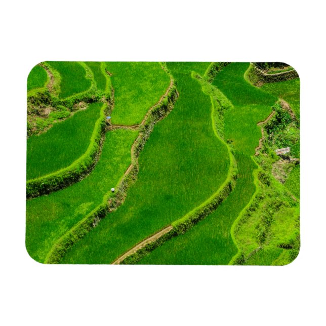 Ímã Rice Terraces (Horizontal)